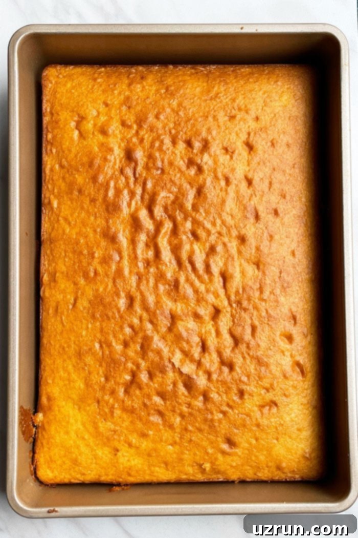 Classic Yellow Sheet Cake with Chocolate Frosting 7 Unfrosted Yellow Cake in Rectangle Pan- Overhead Shot