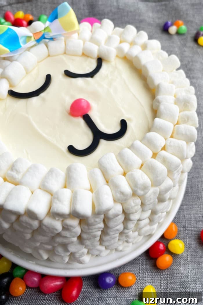 Easy Marshmallow Lamb Cake 3 Closeup Shot of Face Details on Easter Cake