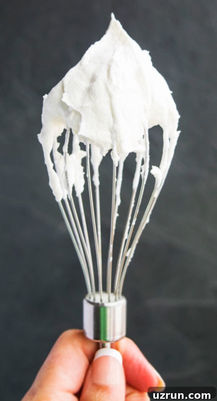 Easy Stabilized Homemade Whipped Cream With Gelatin on a Whisk.
