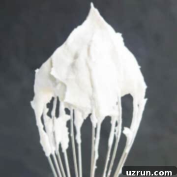 Perfect Stabilized Homemade Whipped Cream 4 Whisk With Stabilized Homemade Whipped Cream and Stiff Peaks.