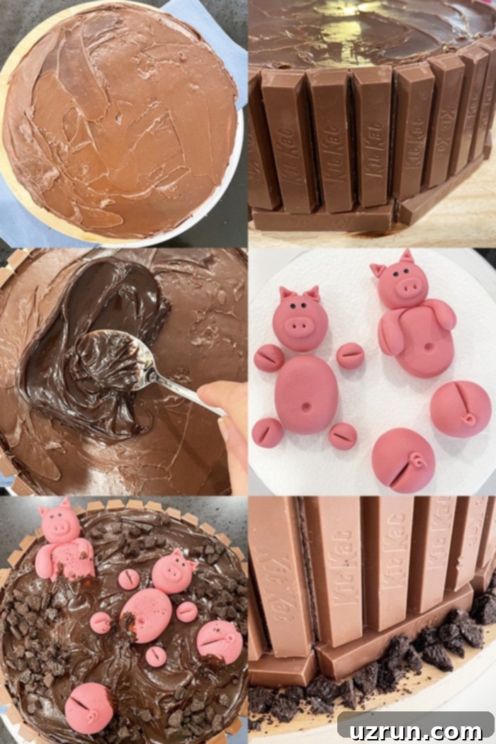 Effortless Piglet Cake 7 Collage Image With Step By Step Pictures on How to Make Pig Cake, showing the process from baking to final decoration