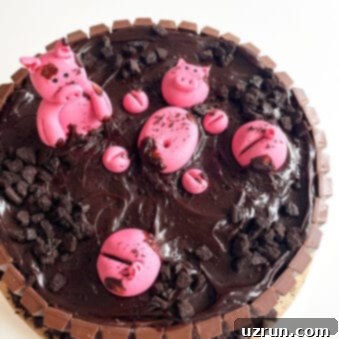 Effortless Piglet Cake 8 Easy Pig Cake With Kit Kat Border on White Background