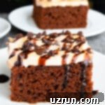Cake Mix Desserts Made Easy 17 Easy Mexican Chocolate Cake With Brown Sugar Frosting and Ganache on White Plate