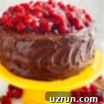 Cake Mix Desserts Made Easy 18 Easy Chocolate Raspberry Cake With Ganache Frosting on Yellow Cake Stand