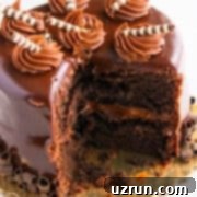 Cake Mix Desserts Made Easy 20 Easy Chocolate Guinness Cake (Stout Beer Cake) With Cake Mix on White Background.