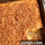Cake Mix Desserts Made Easy 24 Easy Cinnamon Crumb Cake Made With Cake Mix in Square Pan