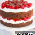 Cake Mix Desserts Made Easy 6 Best Easy Black Forest Cake With Cake Mix on White Dish.