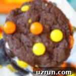 Cake Mix Desserts Made Easy 54 Closeup Shot of Easy Soft and Chewy Reeses Cookies With Cake Mix on Large Spatula