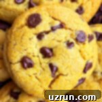 Cake Mix Desserts Made Easy 68 Easy Cake Mix Pumpkin Chocolate Chip Cookies- Closeup Shot