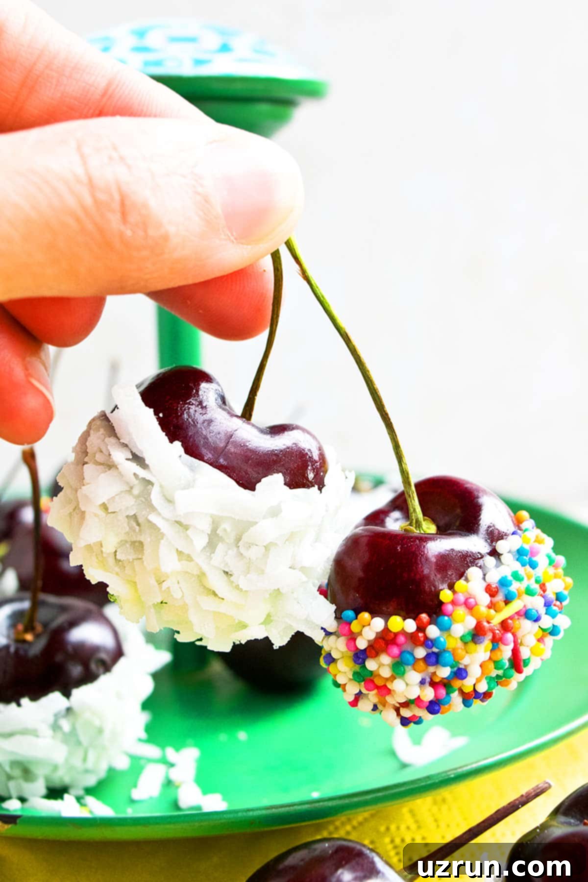 Hands Holding Two Homemade Chocolate Dipped Cherries- Closeup Shot