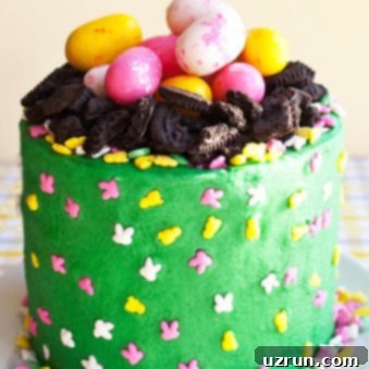 Easy Easter Egg Nest Cake 5 Easy Easter Egg Cake or Nest Cake on White Plate With Yellow Background.