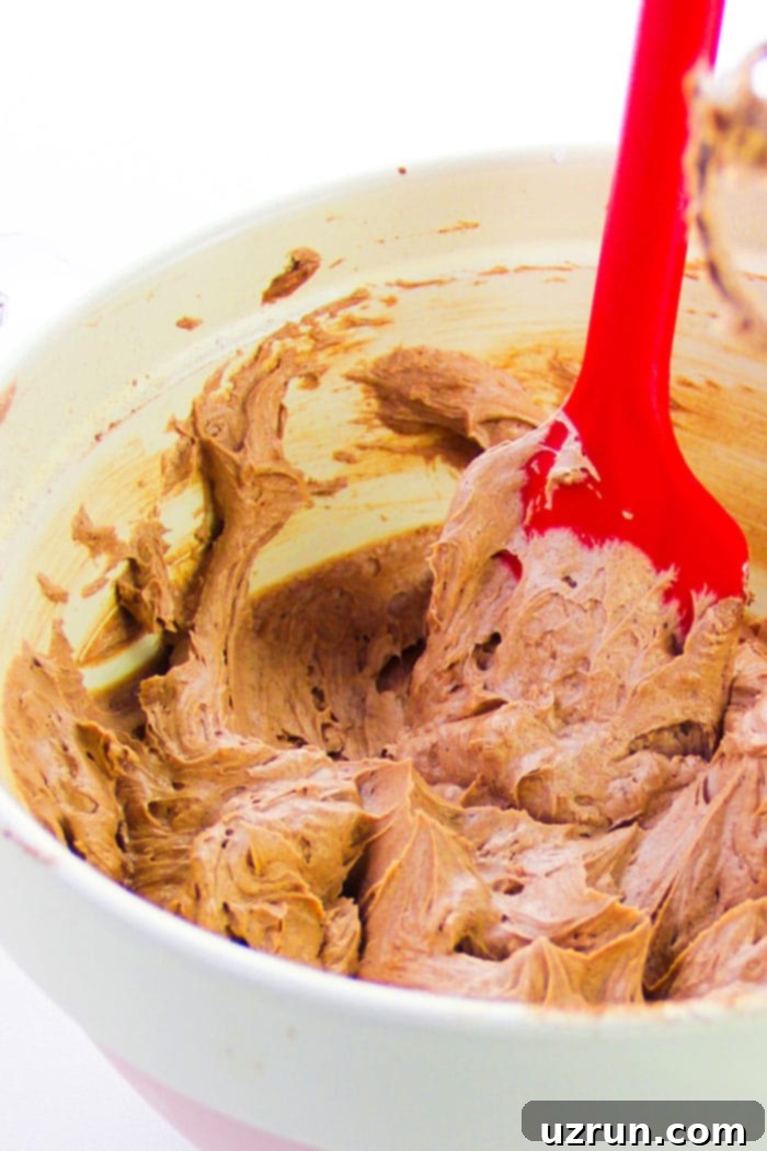Easy Homemade Chocolate Whipped Cream Frosting With Cocoa Powder in White and Pink Bowl