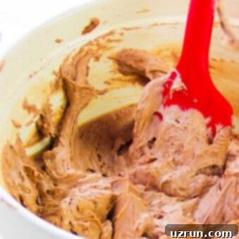 3-Ingredient Chocolate Whipped Cream 4 Easy Homemade Chocolate Whipped Cream Frosting With Cocoa Powder in White and Pink Bowl