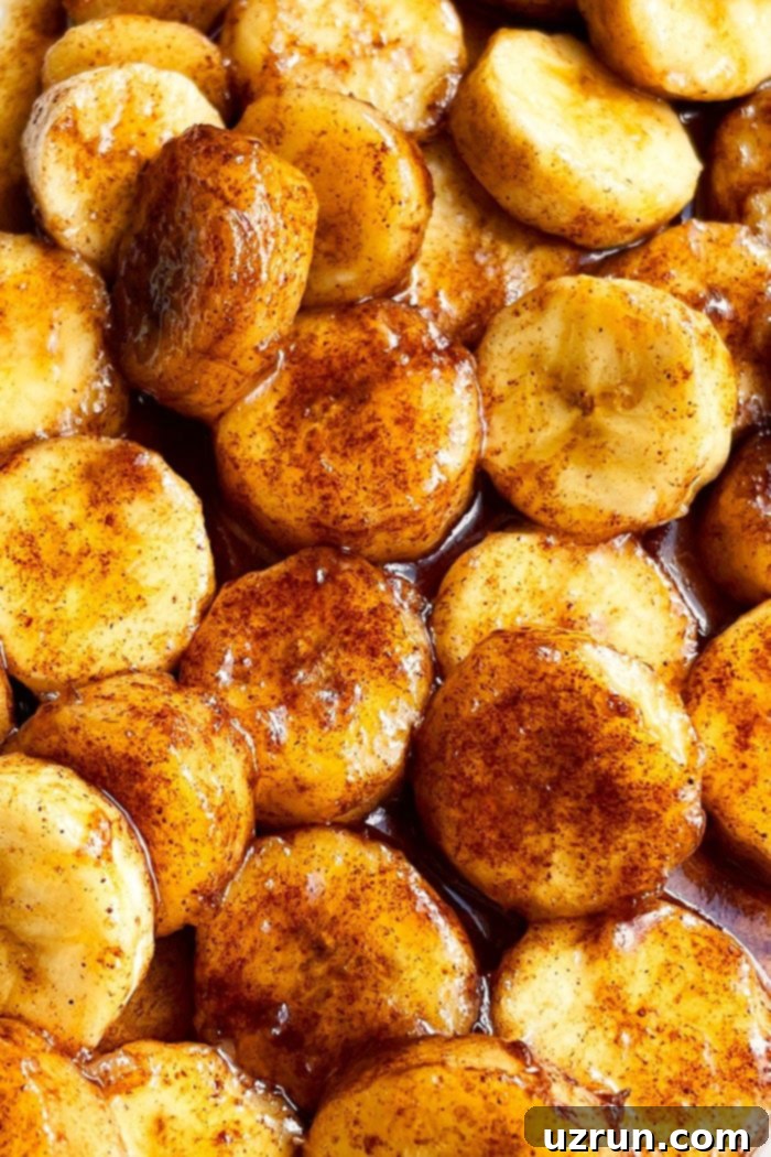 Easy Cinnamon Caramel Bananas 3 Easy Pan Fried Bananas With Cinnamon and Butter and Brown Sugar- Closeup Shot