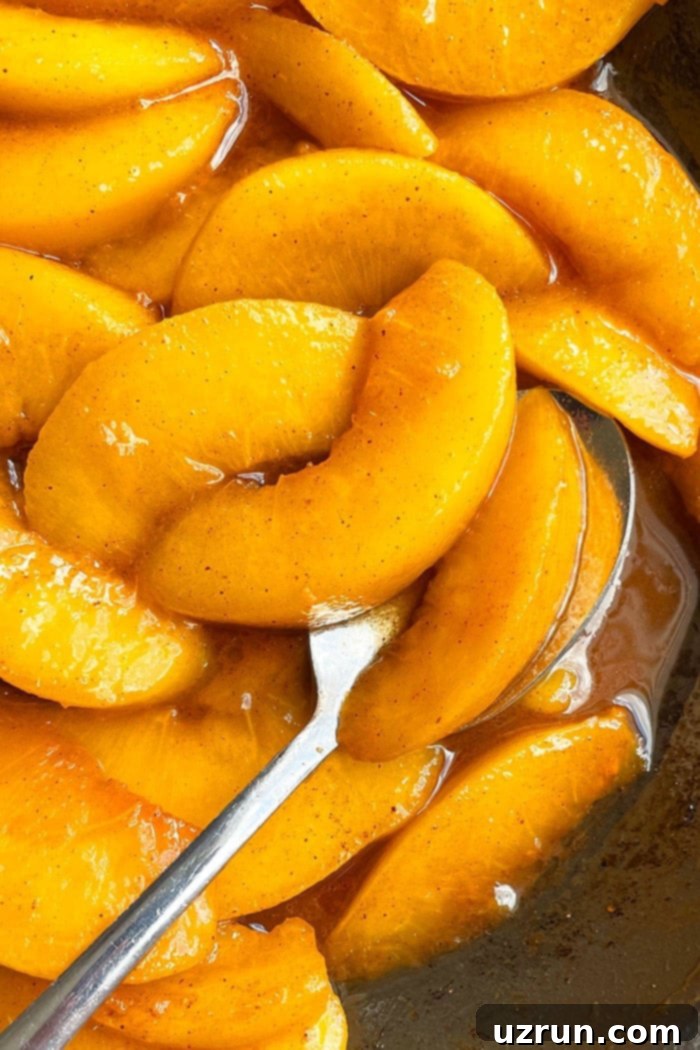 Caramelized Cinnamon Baked Peaches 3 Spoonful of Caramelized Spiced Cinnamon Peaches- Closeup Shot