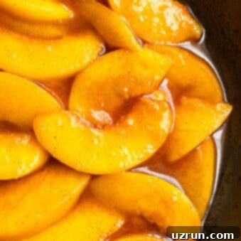 Caramelized Cinnamon Baked Peaches 5 Easy Homemade Baked Peaches With Brown Sugar and Cinnamon in Nonstick Pan