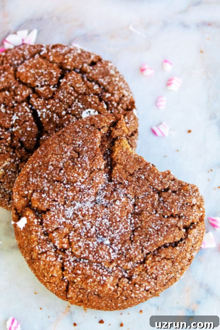 Easy Cake Mix Mexican Hot Chocolate Cookies 3 Partially Eaten Spicy Hot Cocoa Cookies With Cake Mix on Marble Background