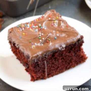 No Fuss Chocolate Cake 11 Frosted and decorated chocolate cake slices on a plate.