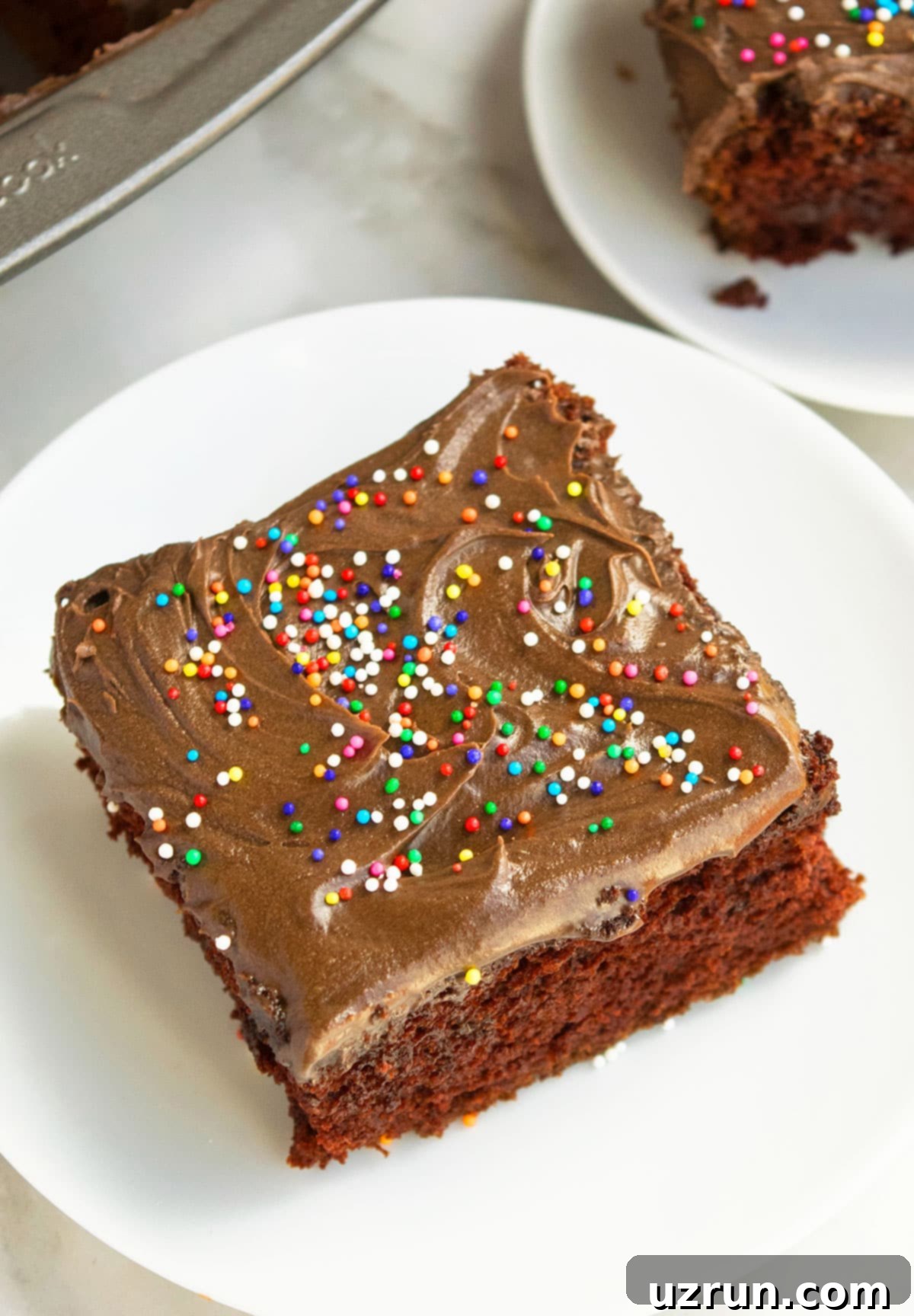 No Fuss Chocolate Cake 12 Closeup Shot of Chocolate Frosting and Sprinkles on Cake.