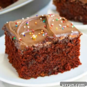 No Fuss Chocolate Cake 13 Slice of Wacky Chocolate Depression Cake With Frosting on White Dish.