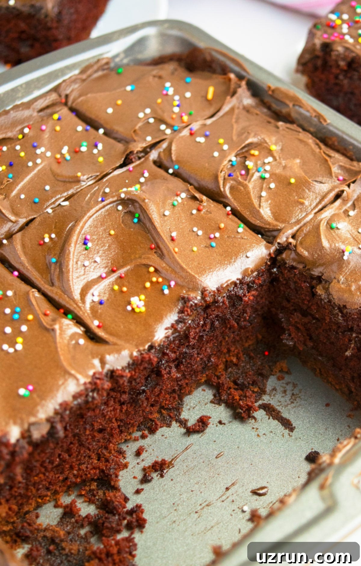No Fuss Chocolate Cake 3 Crazy Wacky Cake Sliced into Squares in Square Pan.