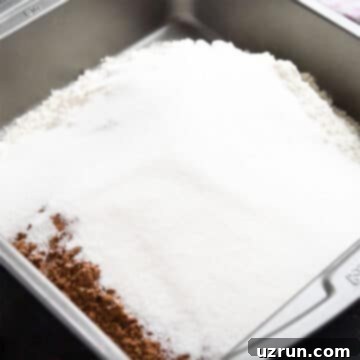 No Fuss Chocolate Cake 4 Flour, sugar and cocoa powder in a square cake pan.