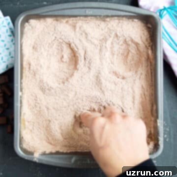 No Fuss Chocolate Cake 6 Making three depressions in the dry ingredients.