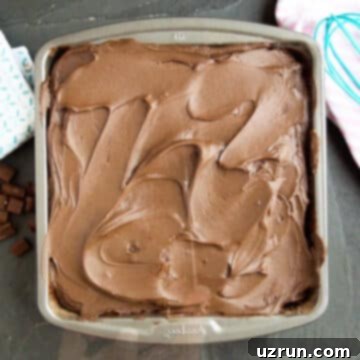 No Fuss Chocolate Cake 10 Baked Chocolate Depression Cake in a pan.