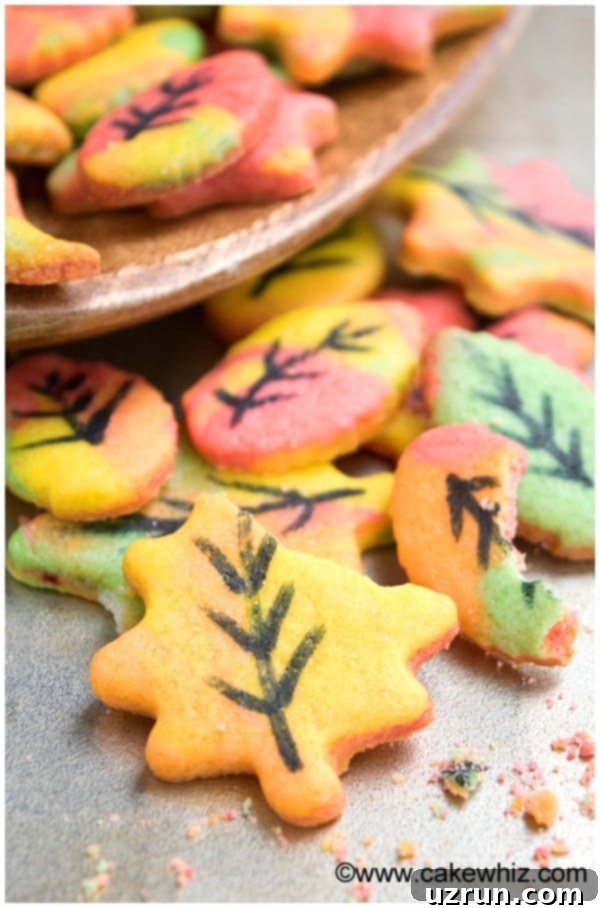 Simple Autumn Leaf Cookies 4 Partially Eaten Autumn Cookies- Closeup Shot