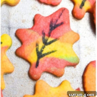 Simple Autumn Leaf Cookies 6 Easy Fall Cookies (Leaf Sugar Cookies) on Rustic Gray Background