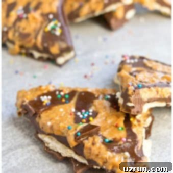 Quick 4 Ingredient Peanut Butter Chocolate Bark 6 Easy Peanut Butter Chocolate Bark Recipe (4 Ingredients)
