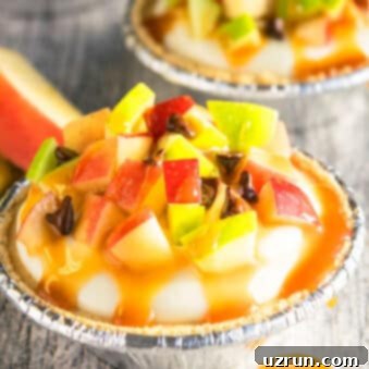Easy No-Bake Caramel Apple Pie 5 Easy Caramel Apple Pie on Rustic Gray Background.