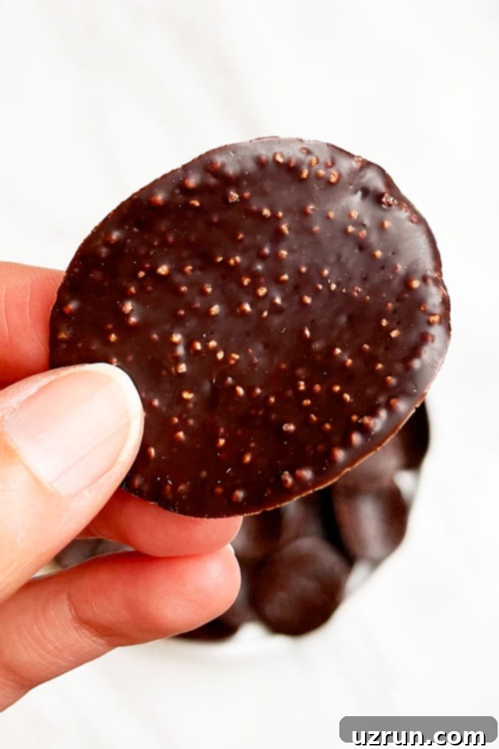 Irresistible Two Ingredient Chocolate Covered Potato Chips 3 Sweet and Salty Chocolate Covered Chips in Hand- Closeup Shot