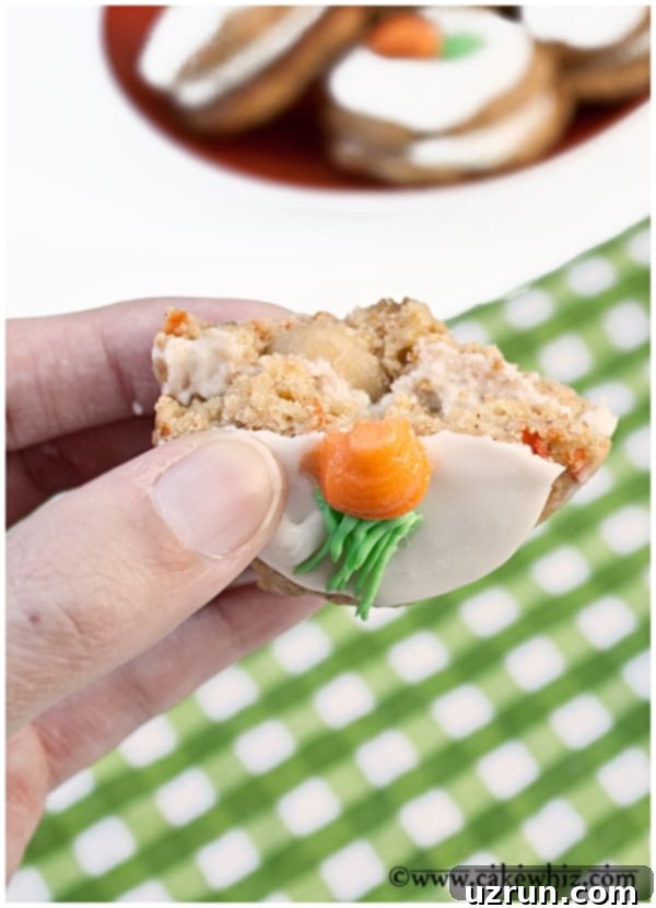 Spiced Carrot Cake Cookies 3 Partially Eaten Sandwich Cookie- Closeup Shot