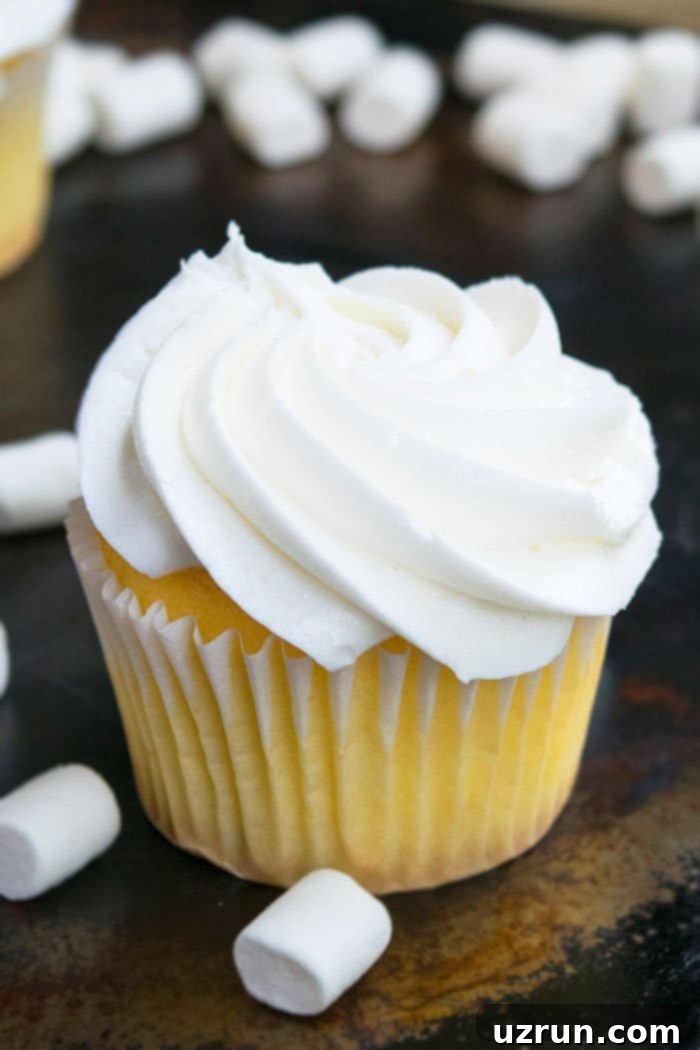 Perfect Homemade Vanilla Cupcakes 4 Vanilla Cupcake with Vanilla Frosting on Rustic Background