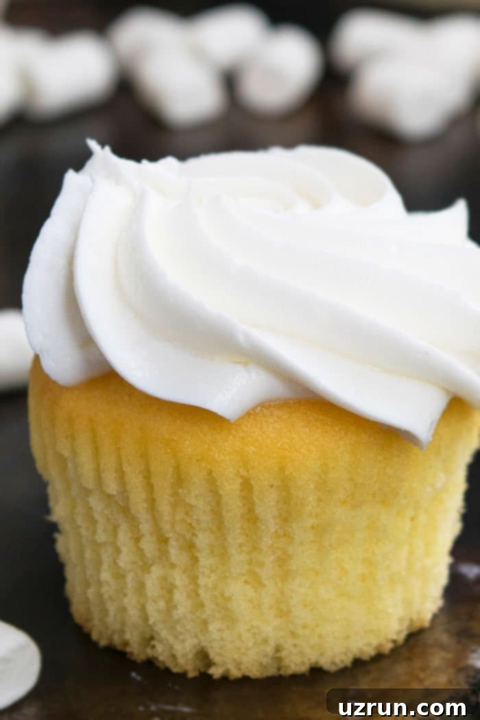 Perfect Homemade Vanilla Cupcakes 5 Best Soft and Fluffy Vanilla Cupcakes with White Frosting- Closeup Shot