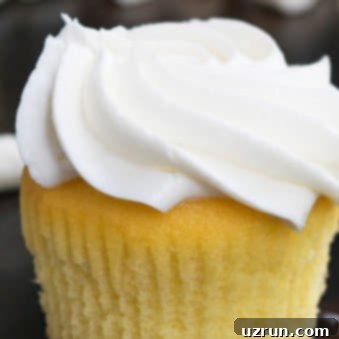 Perfect Homemade Vanilla Cupcakes 6 Best Easy Moist Vanilla Cupcake Recipe with Vanilla Frosting