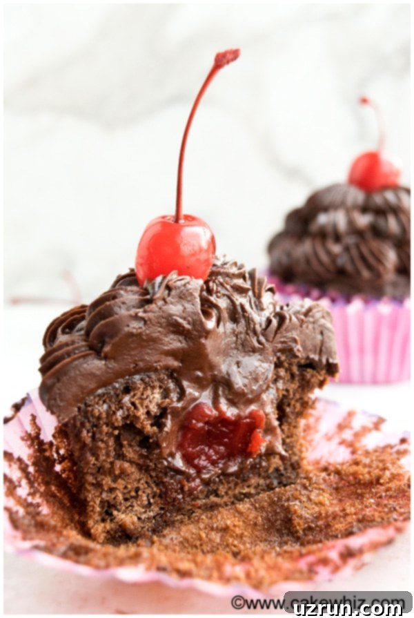 Crafting Cupcakes with Irresistible Fillings 4 Chocolate Cupcakes Filled With Cherry Truffles on White Background