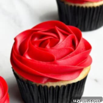 Petal-Perfect Red Rose Cupcakes 5 Easy Rose Cupcakes Piped With Red Buttercream Icing on White Background