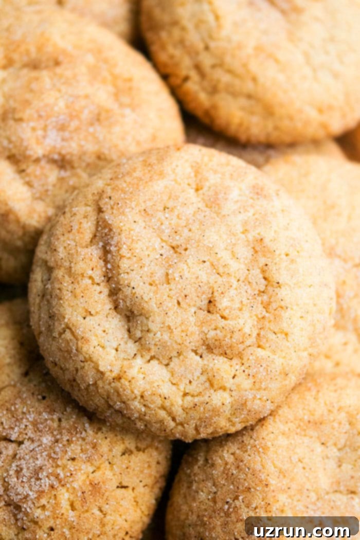 Easy Cinnamon Cookies Recipe - Soft and Chewy