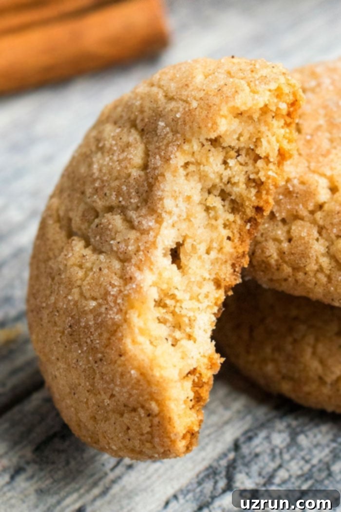 Cinnamon Sugar Cookies Recipe - Close Up