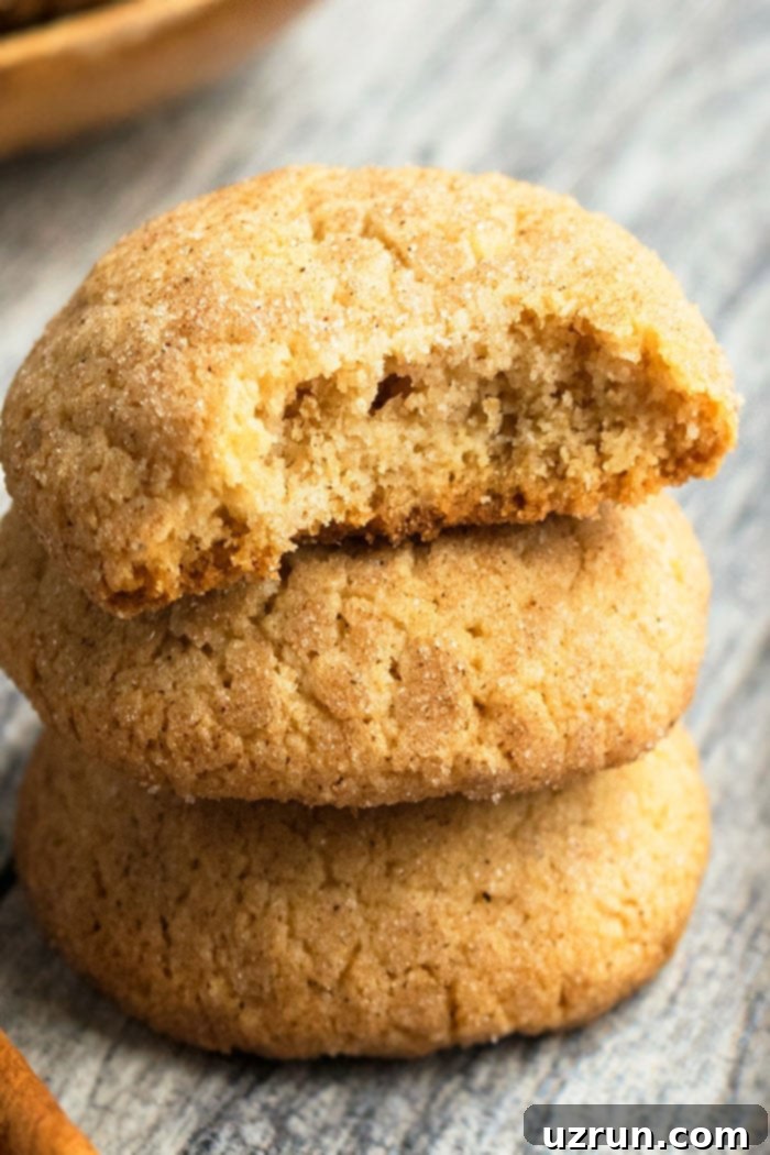 Soft & Chewy Cinnamon Cookies 4 Soft and Chewy Cinnamon Cookies Recipe on a Cooling Rack