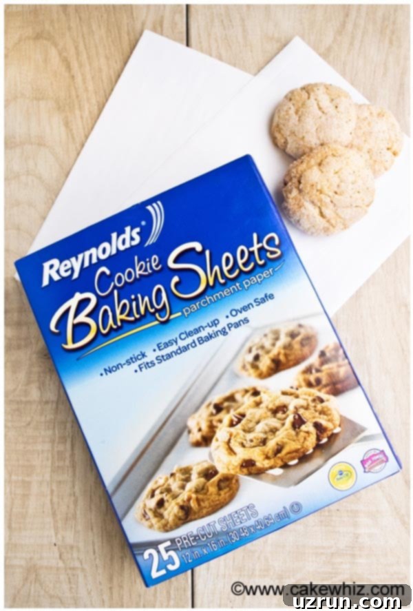Soft & Chewy Cinnamon Cookies 5 Reynolds Baking Sheets Campaign - Cinnamon Cookies