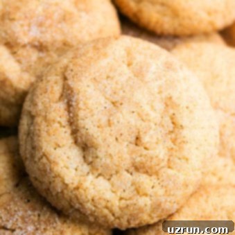 Soft & Chewy Cinnamon Cookies 6 Closeup Shot of Best Easy Cinnamon Cookies.