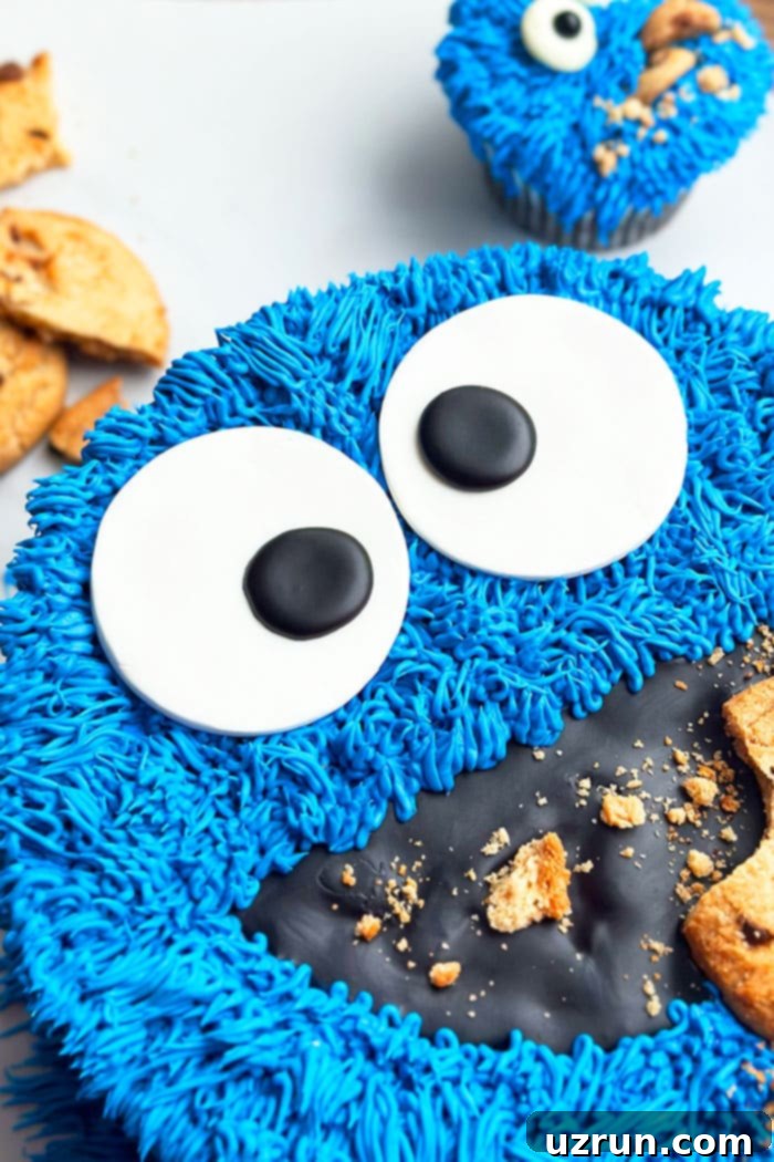 Cookie Monster Cake 4 Closeup of adorable fondant eyes on a blue Sesame Street Cookie Monster cake