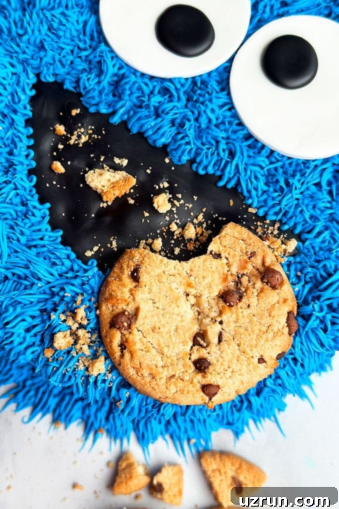Cookie Monster Cake 5 Closeup shot of Cookie Monster cake's black mouth and a chocolate chip cookie
