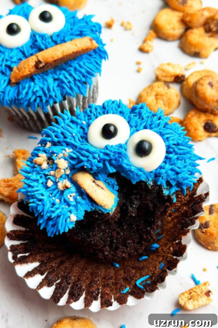 Cookie Monster's Nom Nom Cupcakes 5 Partially Eaten Decorated Chocolate Cupcake on White Background