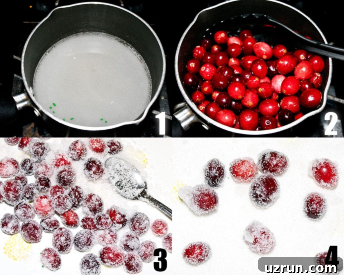 Easy Candied Cranberries 3 Collage Image With Step by Step Process Shots on How to Make Candied Cranberries.