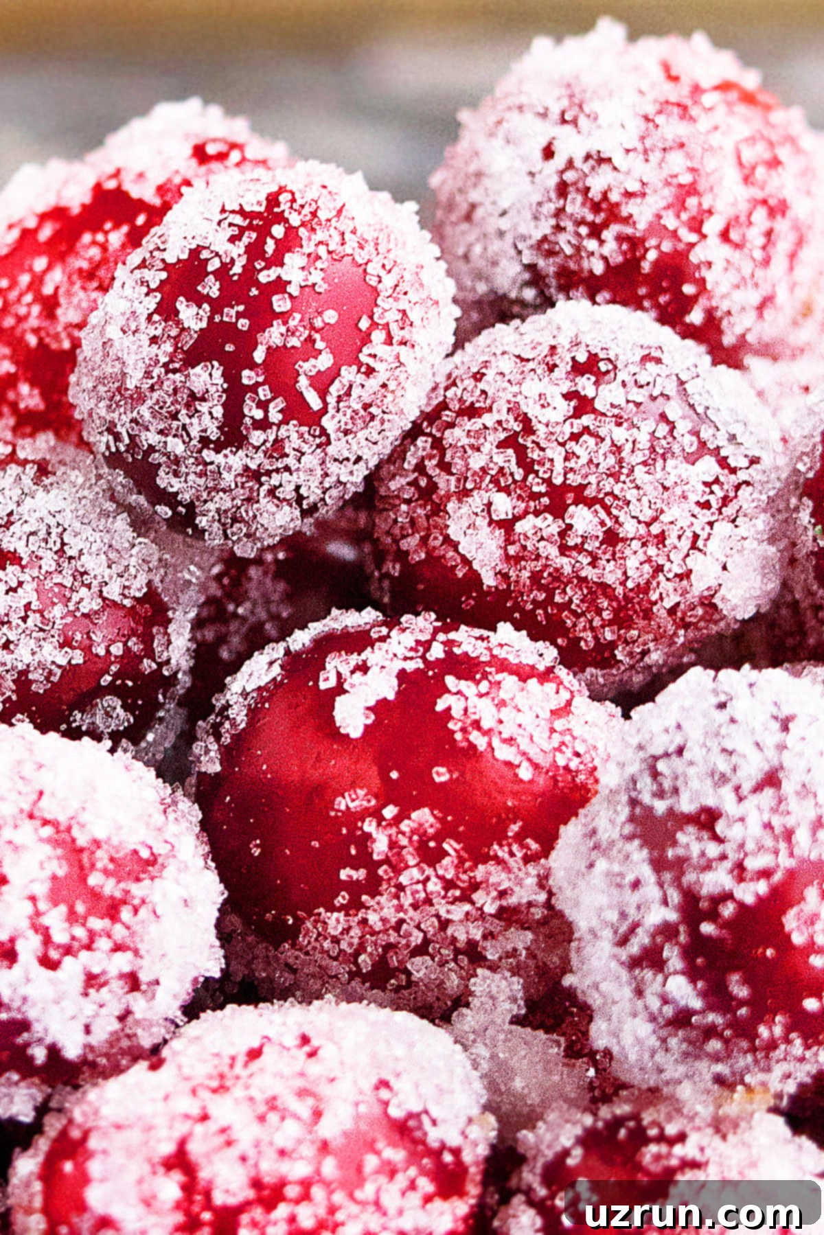 Easy Candied Cranberries 4 Closeup Shot of Christmas Cranberries.