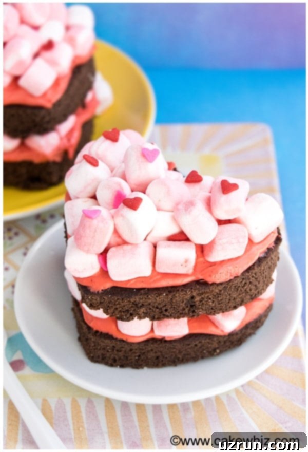 Easy Homemade Chocolate Marshmallow Cake on White Plate With Colorful Background, ready for serving.